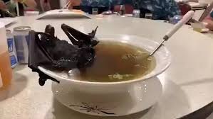 bat soup
